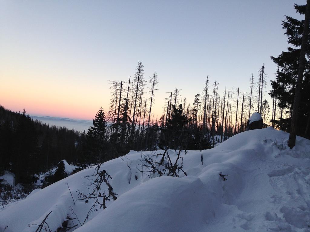 Studio A105 Stary Smokovec Hrebienok Vysoké Tatry Buitenkant foto